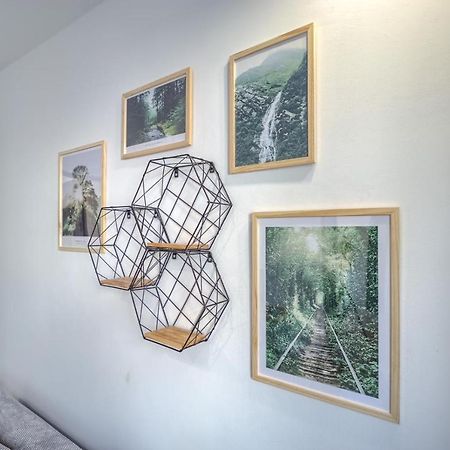 皮拉Niron Apartament Dabrowskiego公寓 外观 照片