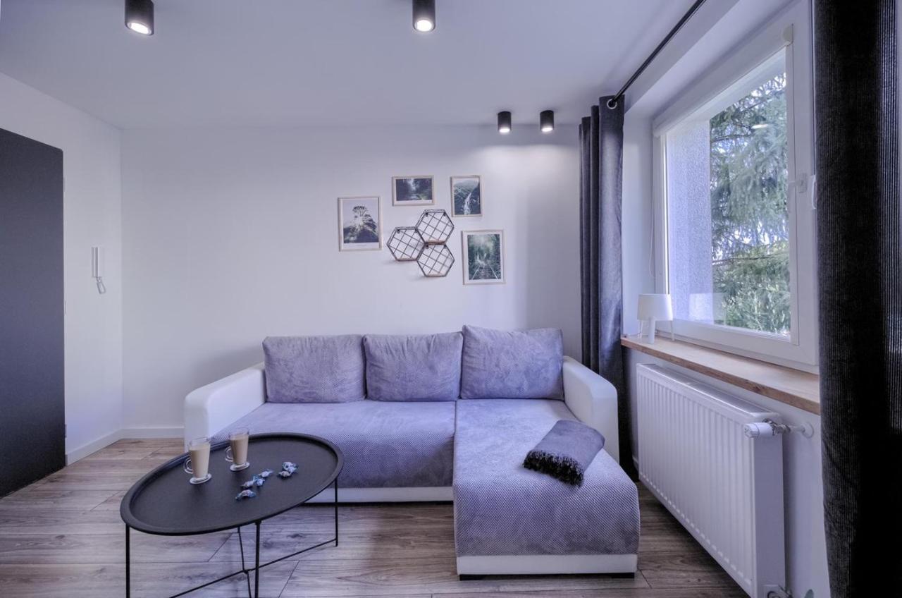 皮拉Niron Apartament Dabrowskiego公寓 外观 照片
